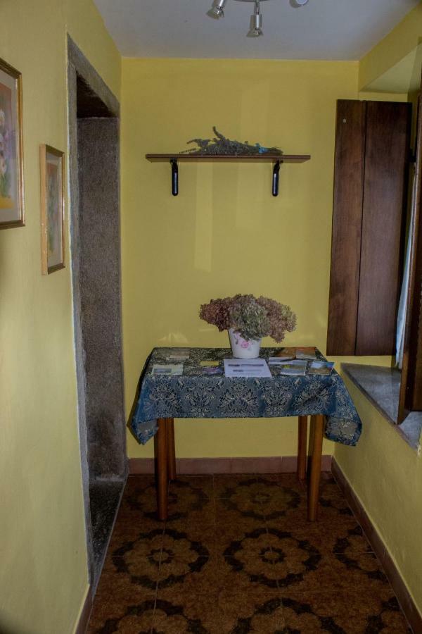 Il Camino Daire Anzino Dış mekan fotoğraf